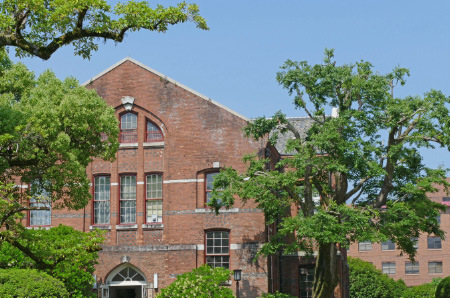 L1050034_edited-1.jpg