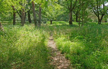 L1050041_edited-1.jpg